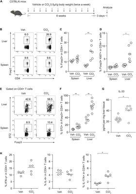 Foxp3+ Regulatory T Cells Inhibit CCl4-Induced Liver Inflammation and Fibrosis by Regulating Tissue Cellular Immunity
